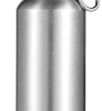 Aluminum Water Bottles (17 oz)-Silver
